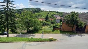 Príroda v okolí apartmánu