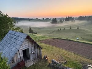 an old barn in the middle of a field at Domacinstvo Obradovic Nadgora in Nadgora