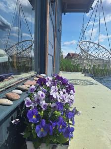 Fotografie z fotogalerie ubytování Dzintarkrasts v destinaci Jūrmala