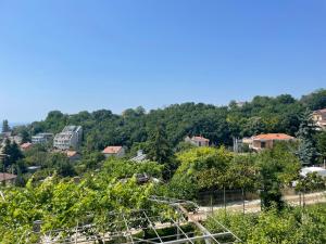 a view of a town with trees and houses at Вила Рак-Апартаменти за гости in Varna City