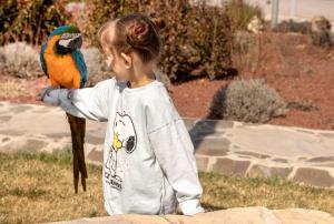 Gallery image of Sakura Hotel Cappadocia by AJWA in Nevsehir