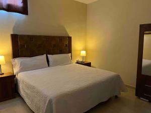 a bedroom with a large bed with two night stands and two lamps at Bonito apartamento cerca de la zona comercial in Villa Hidalgo