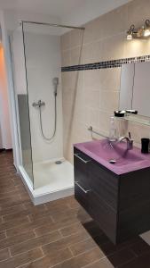 a bathroom with a purple sink and a shower at F2 rez de jardin in Ajaccio