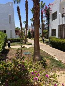 a street with palm trees and flowers in front of a building at Downtown,Delta sharm in Sharm El Sheikh
