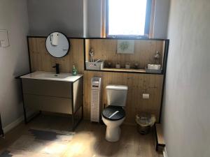 a bathroom with a toilet and a sink and a mirror at Stylish flat in Chesterfield near Peak District in Chesterfield