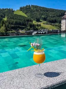 Příroda nedaleko hotelu + 37 fotografií