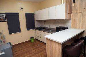 Köök või kööginurk majutusasutuses apartment 19