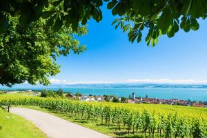 a path through a field with a view of the water at Seetraum Berger in Hagnau
