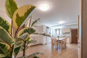 a dining room and kitchen with a table and a plant at La Rosa & La Viola in Carassai