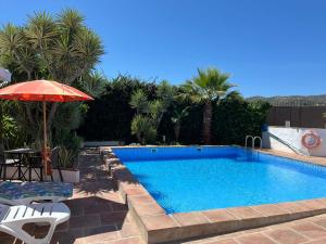 Bazén v ubytování Casa Bambu Studios nebo v jeho okolí + 126 fotografií