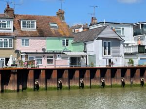 a group of penguins standing in the water near a pier at Dove Cottage is a Central, Riverside, Charming Victorian Cottage in Arundel