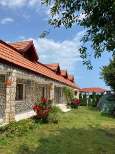 a house with a garden and flowers in the yard at Piovra in Vama Veche