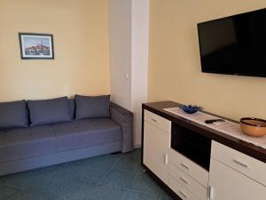 TV a/nebo společenská místnost v ubytování Apartments Melinda