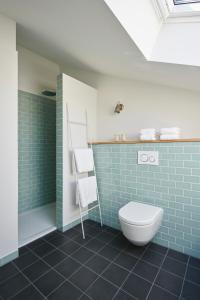 a bathroom with a toilet and blue tiles at Elsas Enkel - Ferienwohnung Gesa in Waabs +7 photos