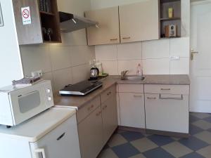 Kuchyňa alebo kuchynka v ubytovaní Góry Sowie - Apartament na parterze z parkingiem + 11 fotografií