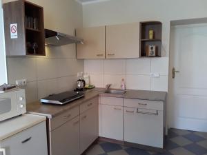 Kuchyňa alebo kuchynka v ubytovaní Góry Sowie - Apartament na parterze z parkingiem