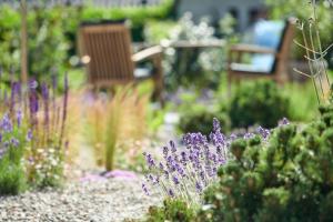 a garden with purple flowers and a bench in the background at Elsas Enkel - Ferienwohnung Meta in Waabs