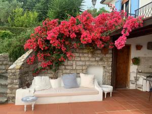 Zahrada ubytování Villa Pera