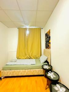 Ein Bett oder Betten in einem Zimmer der Unterkunft Stylish 2BR Shared Apt, Sleeps 6 Direct City Access