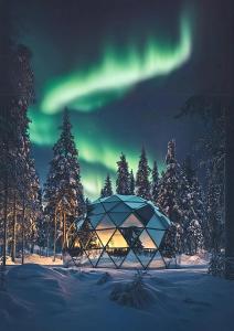 SKOG Aurora igloos talvel