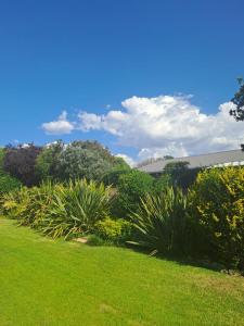 a yard with green grass and trees and bushes at Myplekki in Bethlehem