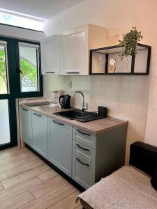 Kuchyň nebo kuchyňský kout v ubytování Apartments & Rooms Formenti