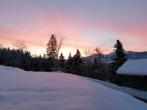 LangeneggにあるFerienwohnung Huberの雪に覆われた木々と夕日の庭
