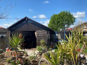 a barn with plants in front of it at Casa Miru in Mangalia