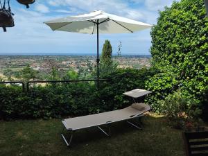 a white bench with an umbrella on the grass at Belvedere 10 in Pietrasanta