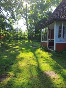 a large yard next to a house with a tree at Räuberstube 90 qm - einsam - ruhig - Insel im Land in Passee