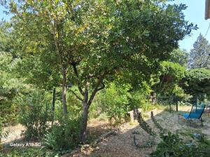 Κήπος έξω από το Appartement plain-pied +2 φωτογραφίες