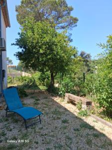 a blue chair sitting in the yard next to a tree at Appartement plain-pied in Piolenc