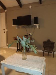 a vase of flowers on a table in a living room at Donde brilla el sol in Dina Huapi