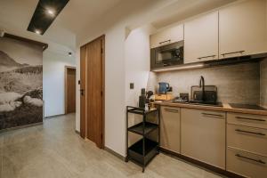 a kitchen with a sink and a counter top at Willa Bachledzki Wierch 12 in Zakopane