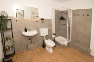 a bathroom with a toilet and a sink and a shower at THEFIVE60 Apartments in Braunlage +41 photos
