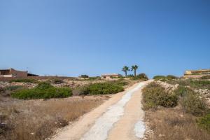a dirt road in the middle of a field at Dammuso Ignazio in Lampedusa