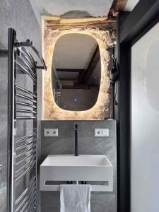 a bathroom with a white sink and a mirror at Villa Schloss Rimsingen Fine Apartments in Breisach am Rhein