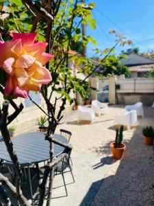 a pink flower sitting next to a table and chairs at L'Oustalet Arles in Arles