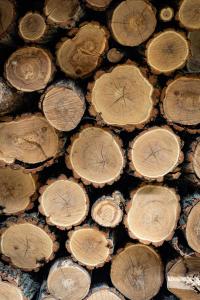 a pile of cut up wood with the cut down signs at Levendula Resort és Rendezvényközpont in Bogács