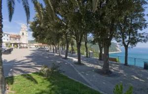 eine Straße mit Bäumen und ein Gebäude direkt am Meer in der Unterkunft Francesco 2C in Marcelli