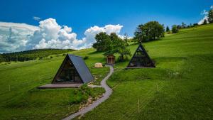 two triangular houses on a green field with a path at Holiday Cabins in Hosasău