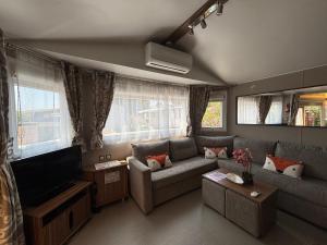 un soggiorno con divano e TV a schermo piatto di Mobile home Myosotis camping siblu a Fréjus