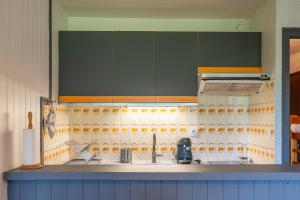 Kuchyň nebo kuchyňský kout v ubytování Studio au pied des pistes Vue imprenable Grand Bo' + 16 fotografií