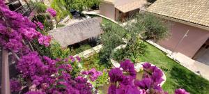 สวนหย่อมนอก Filoxenia Olive Garden luxury villas and suites