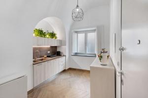Kuchyň nebo kuchyňský kout v ubytování Lubrense Signature Suites