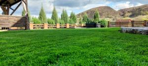 Gallery image of Vila Veve in Sighişoara +79 photos