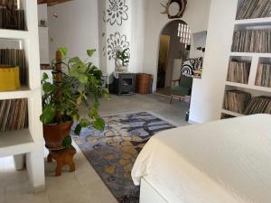 a bedroom with a bed and a plant on a rug at Casa del Rellotge in Benifallet
