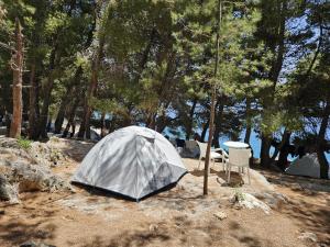 Lanskap alam di dekat tenda glamping