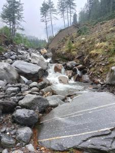 Příroda nedaleko prázdninového domu