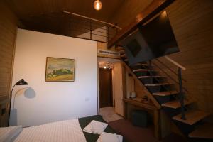 Un televizor și/sau centru de divertisment la Chalet by Provence Suceava